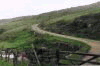 bridleway
