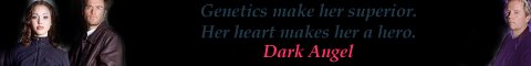 Dark Angels Den banner 4