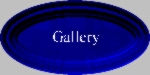 Click Here to See Pictures and Movies