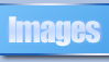 Click here to visit my page full of pictures (Might take a while to load)