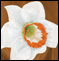 Flower Girl