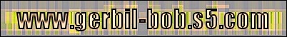 www.gerbil-bob.s5.com