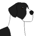 The NCC Great Dane Breed Club Mascot is LCC Ch. Br.Ch. Legends' Maheo AGCh. OBCh. CGC TDI, owned and bred by Tiju of Legends