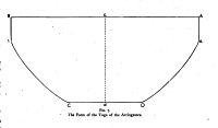 Arringatorre Toga (Early Republic)