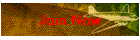 Join Now