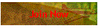 Join Now