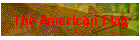 The American Flag