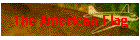 The American Flag