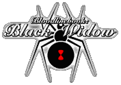 BW Logo 2
