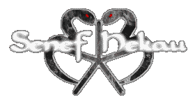 HT Logo