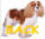 legoback