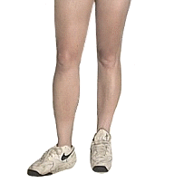 Legs