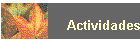 Actividades