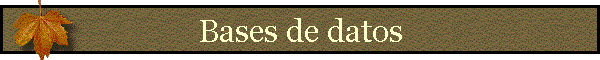 Bases de datos