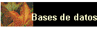 Bases de datos