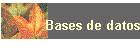 Bases de datos