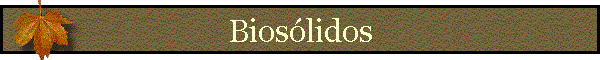 Bios�lidos