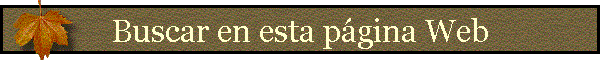 Buscar en esta p�gina Web