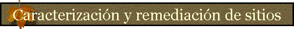 Caracterizaci�n y remediaci�n de sitios