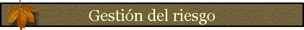 Gesti�n del riesgo