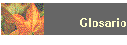Glosario