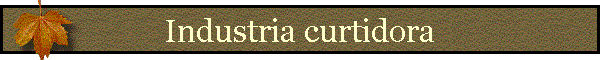 Industria curtidora