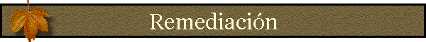 Remediaci�n
