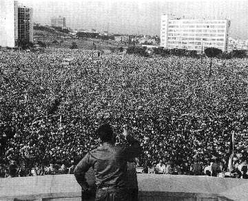 fidelpigs