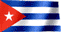 Cuban Flag