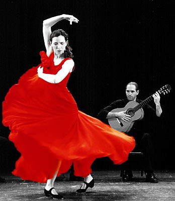 flamenco