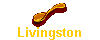 Livingston