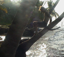 picture 228x312
