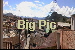Big Pic