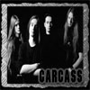 carcass
