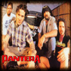 Pantera
