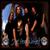 Six Feet Under