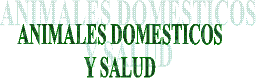 ANIMALES DOMESTICOS
Y SALUD
