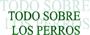 TODO SOBRE 
LOS PERROS