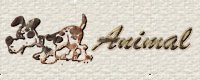 Animal Related Books