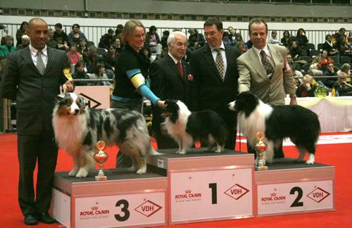 Bailey group1