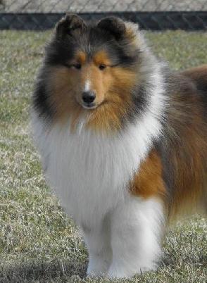 stuart14months