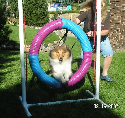 Tag Jumping hop