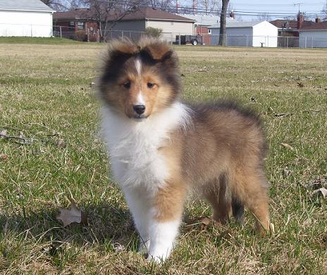 stuart17weeks
