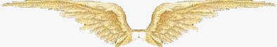 Angel Of The Day