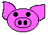 adopt-pig.gif&nbsp; 