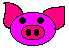 adopt-pigII.gif&nbsp; 