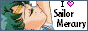 I love Sailor Senshi Clique