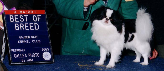 Pearl BOB win at GGKC, 2002