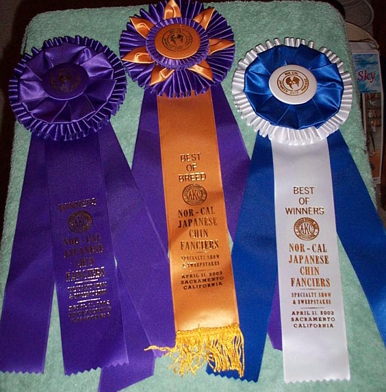 Pearl's ribbons