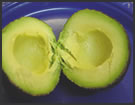 Avocado Halves